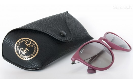 Ray-Ban Erika (RB4171 600111 54mm) saules brilles